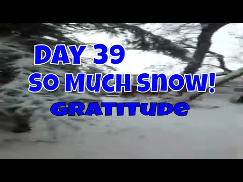Snowstorm 2023 | Gratitude Vlog in the Snow | Day 39 #gratitude #chartarot
