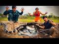 Brave Hunters Use Ancient Tools Catch 100 Fierce Snakes with Bare Hand