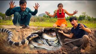 Brave Hunters Use Ancient Tools Catch 100 Fierce Snakes With Bare Hand