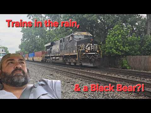 Trains Wake Up Sleepy Neighborhoods, and I Look For a Black Bear