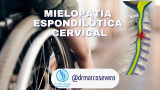 Marco Aurélio Severo Da Silva Versiani-76
