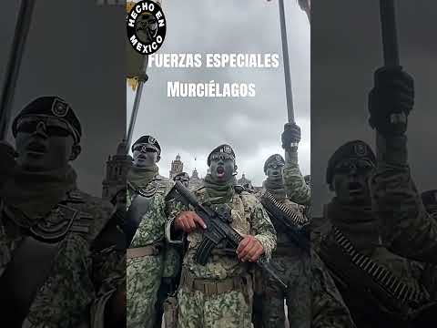 Fuerzas Especiales Murciélagos Boinas Verdes México