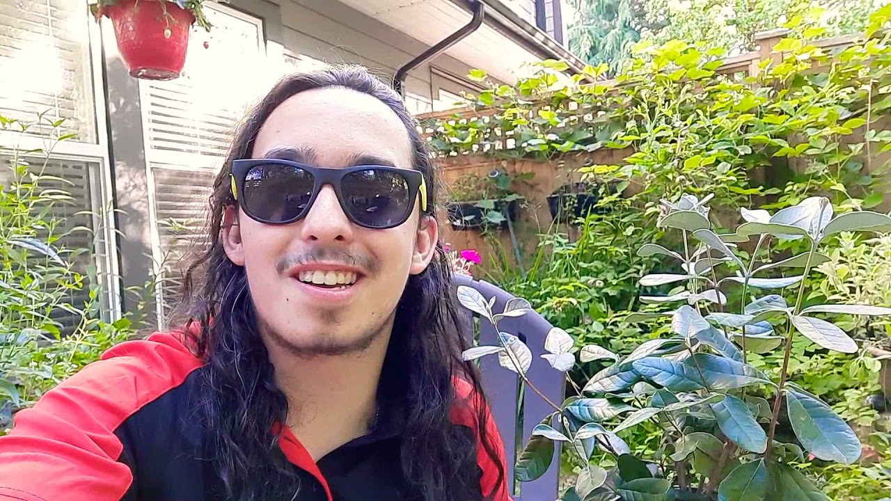 How to Grow Feijoa ( Pineapple Guava) / Feijoa sellowiana / Guavasteen