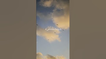سورة الضحى 👍🏻
