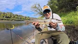Feeder Fishing on the Desna in August. Are the Fish Biting
