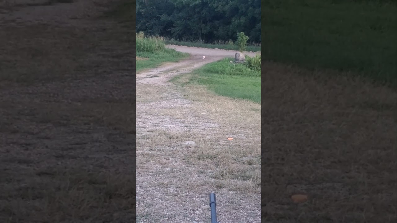 Sonic Boom vs Basketball