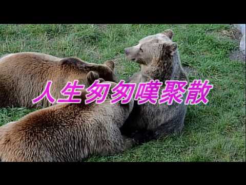 福音金曲 - 聚散 (曲: 情義兩心堅)  余佩珠分享