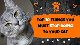 Top 10 Things You Must Stop Doing to Your Cat