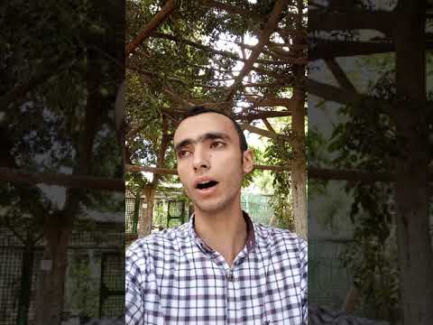 قطره من نداك نصر الدين طوبار