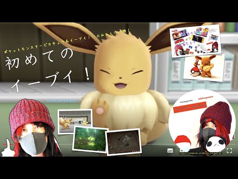 猫のポケモンレッツゴー略してピカブイ イーブイ編第１話 #catchogamers #catcho #猫のポケモン部 #ピカブイ #ポケモン研究会