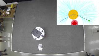 Stanford Space Robotics Facility: Real-time Obstacle Avoidance