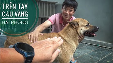 Trên Tay "Cậu Vàng" Hải Phòng - Vô Địch của những nhà Vô Địch H