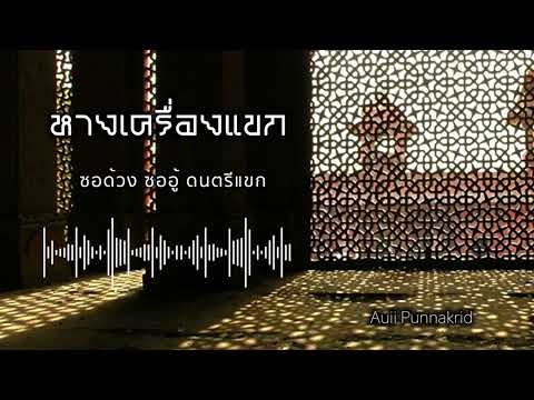 หางเครื่องแขก | ซอด้วง ซออู้ ดนตรีแขก | Auii Punnakrid