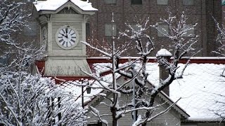 サッポロSNOWY