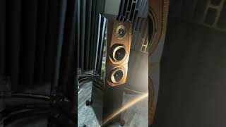 Storgaard & Vestskov Gro - 18500 EUR #bass #hifi #loudspeaker #music #hifiaudio #sound