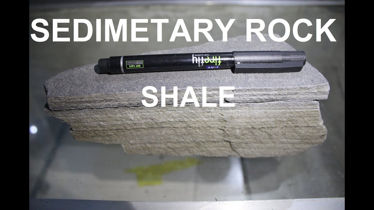 SEDIMENTARY ROCK - BITUMINOUS SHALE I Sedimentary layered rocks