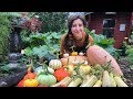 September Vlog & Allotment Tour / Homegrown Garden