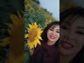 Beautiful sunflower 🌻🌻🌻🌻 garden#Short video with Annie Gogoi