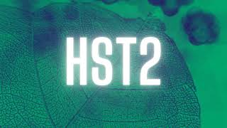 Under Slap - Simple Lady Remaster Version Estribo Records