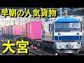 早朝大宮駅を通過する人気貨物列車達
