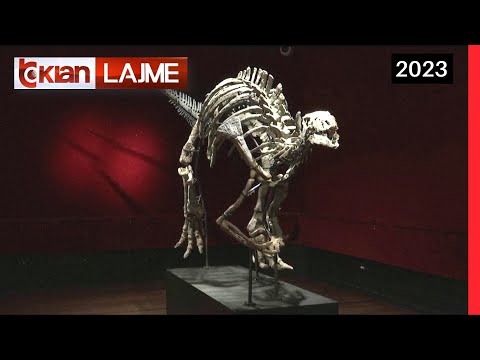 Tv Klan - 1.2 milionë Euro për skeletin e dinozaurit