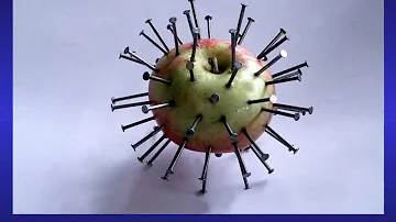 Jaké jsou chemické vlastnosti železa?