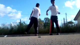 Areef zull | Dubstep Dance | firebird 2