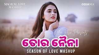 Tora Naina Naina Mashup | Odia Love Mashup | Human Sagar | Odia LoFI Slow Reverb | Odia MiX