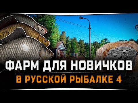 Видео: Как и где фармить новичку в Русской Рыбалке 4 на Комарином озере?