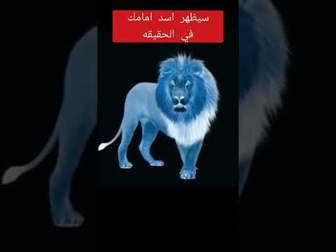 فيديو: هل يرى الأسد اللون؟