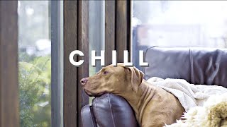 CHILL | ecrett music [Royalty Free Music]