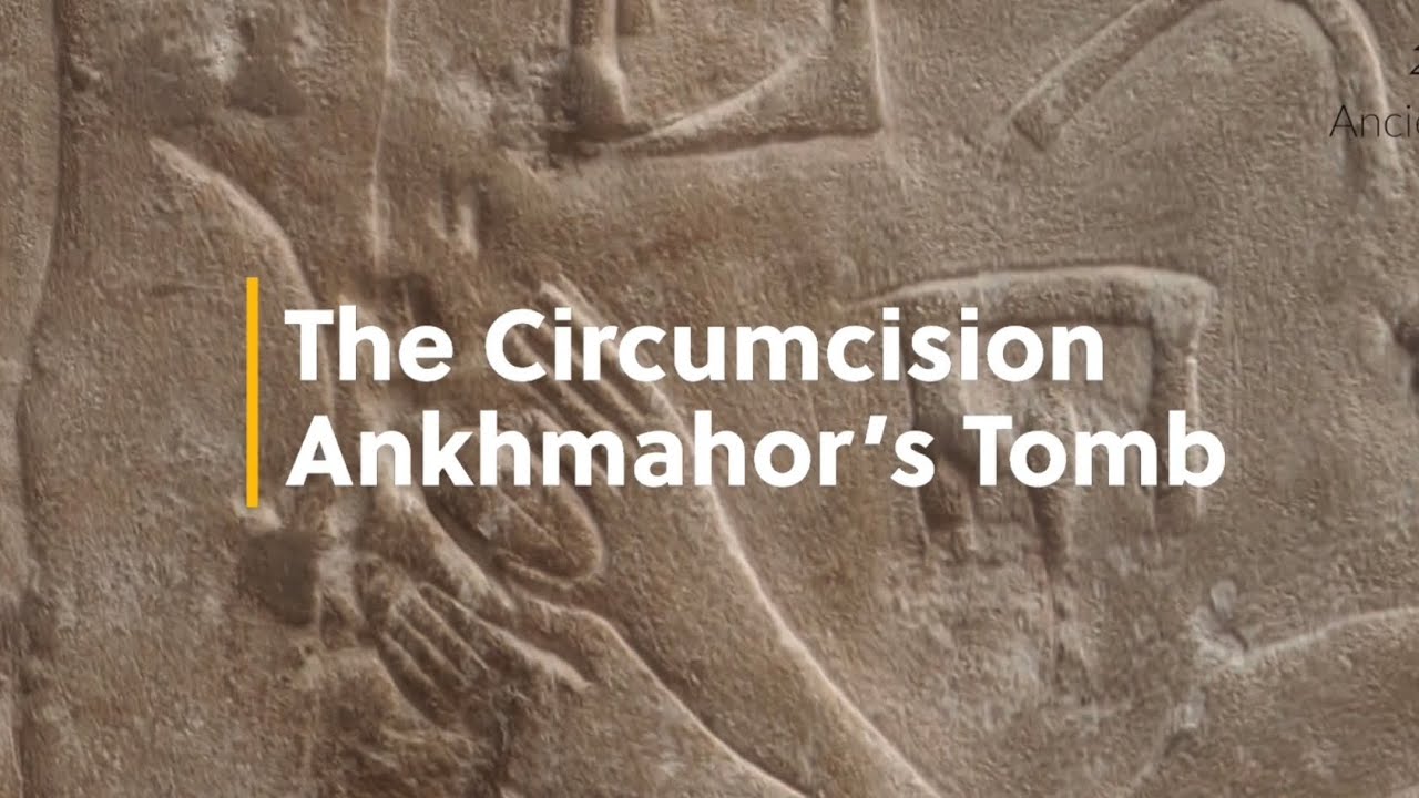 Ankhmahor S Tomb The Circumcision Scene Youtube