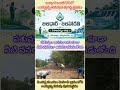 జలధార-జలహారతితో పెందుర్తి మండలం పెదగాడి గ్రామంలోని అయ్యన్న చెరువుకు పూర్వ వైభవం.