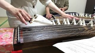 赤いスイートピー　松田聖子　箏　traditional Japanese instrument koto "akai sweet pea”