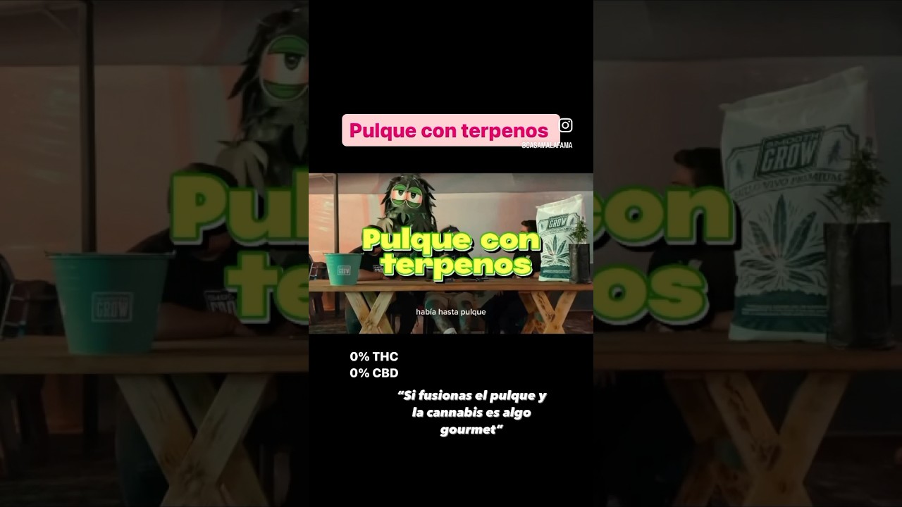 Pulque con terpenos, al combinarlos se vuelve un manjar de sabores. No contiene thc ni Cbd 