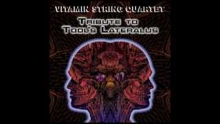 Disposition - Vitamin String Quartet Performs Tool's Lateralus