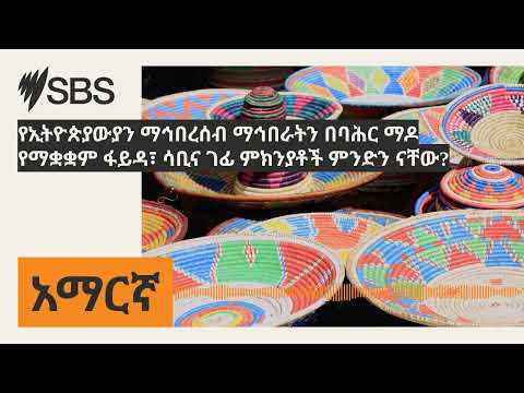 የኢትዮጵያውያን ማኅበረሰብ ማኅበራትን በባሕር ማዶ የማቋቋም ፋይዳ ሳቢና ገፊ ምክንያቶች ምንድን ናቸው SBS Amharic ኤስ ቢ ኤስ አማርኛ