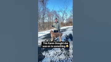 Master Off-Leash Dog Recall Training with These Expert Tips