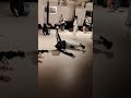 8.1.31ブレイキン１
