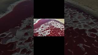 我练就了龟派气功！掌声鼓励！！