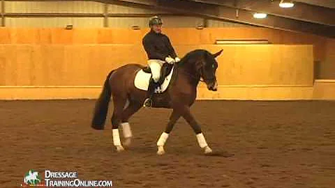 Christoff Hess on training the young horse & impor...