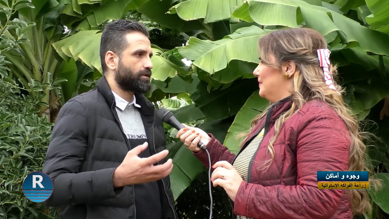 هذه الأنواع من الفواكه الاستوائية نجحت زراعتها في طرطوس