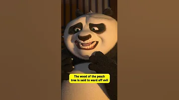 Did You Know That In Kung Fu Panda 