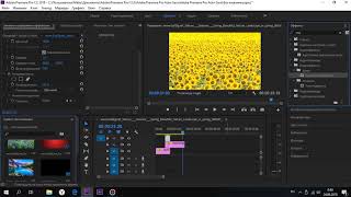 Как пользоваться видеопереходами с альфа каналом в Adobe Premiere pro.