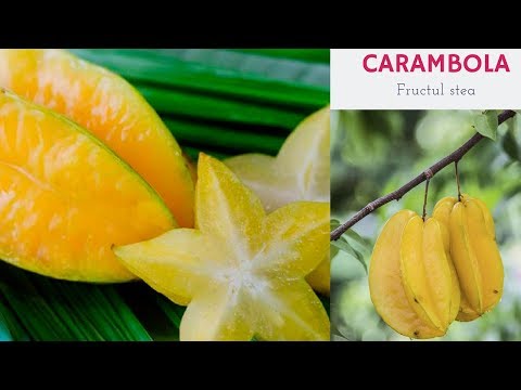 Video: Ce Este Carambola?