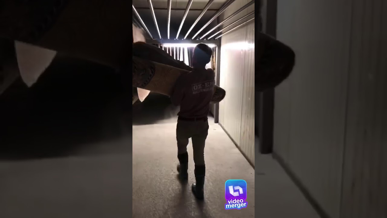 Oz Er Hali Yikama Hali Alisveris Ve Perakende Corlu Tekirdag Hali Yikama