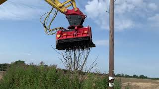 2019 Bugnot 52 Mulcher Crusher Grinder - 80mm Pins, Entered into Auction