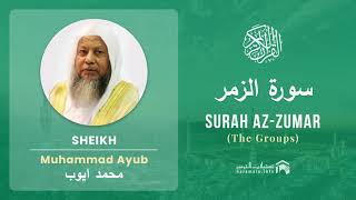Quran 39   Surah Az Zumar سورة الزمر   Sheikh Mohammad Ayub - With English Translation