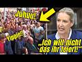 Von Indie-Band Komplett VERNICHTET! AfD HEULT Wegen FANS Von KAFFKIEZ Und Schreibt Stellungnahme!