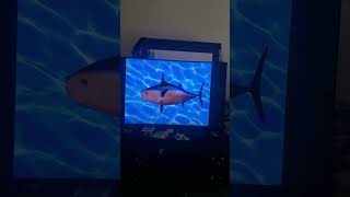 Spongebob Intro Fandub Mopsnop